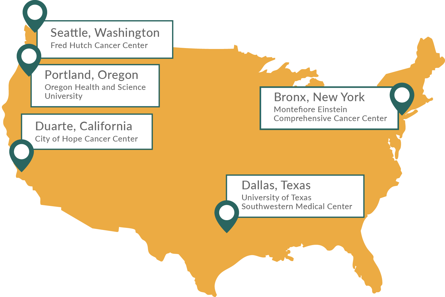 Adult US map